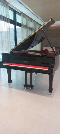 MEGARYA HG 186 PIANO FOR SALE
