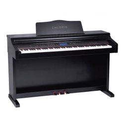 Chloris CDU 200 Digital Piano In Black Finish