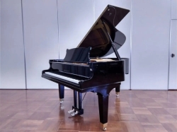 Apollo A30 Grand Piano Made In Japan      