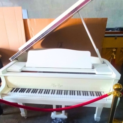 Megarya White Self Playing Grand Piano          