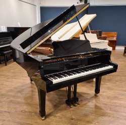 Yamaha C3 Grand Piano  With Bench And On Year Warranty