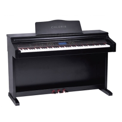 Chloris CDU 300 Digital Piano With Bench