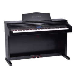 Chloris CDU 200 Black Piano For Sale