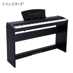 MegArya Owned Chloris CDU 45 88 Keys Weighted Keys Digital Portable Type With Stand (1 Year Warranty)