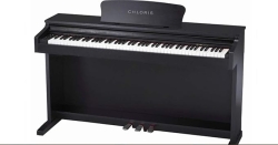 MegArya Owned Chloris CDU 300 88 Keys Weighted Keys Digital Piano With Stand (1 Year Warranty) Color : Black